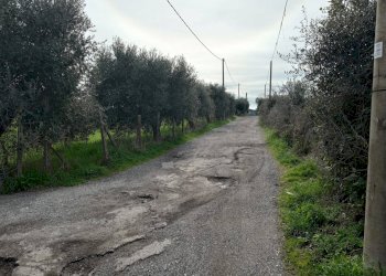 Foto 3 - Terreno agricolo VIA PIETRALCINA, Roma - foto 3