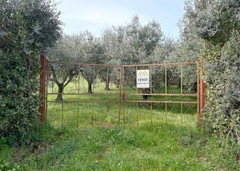 Foto 4 - Terreno agricolo VIA PIETRALCINA, Roma - foto 4