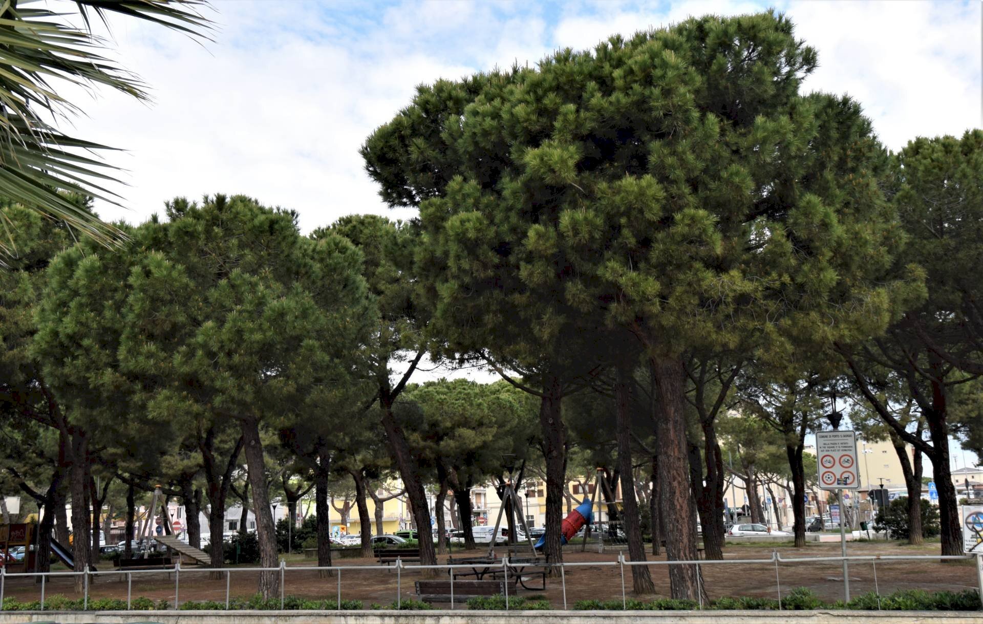 Foto 2 - Locale Commerciale Via Sacconi
 
41, Porto San Giorgio - foto 2