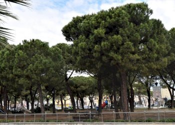 Foto 2 - Locale Commerciale Via Sacconi
 
41, Porto San Giorgio - foto 2