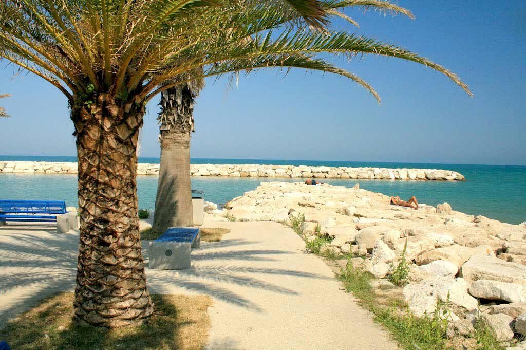 Foto 3 - Locale Commerciale Pedaso - foto 3