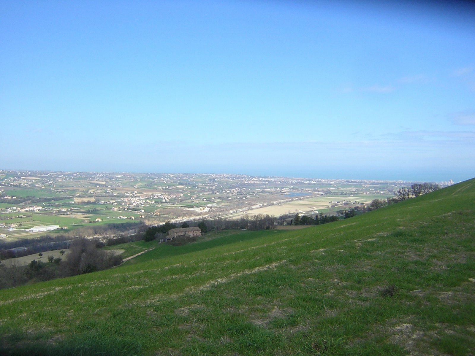 Foto 1 - Agricultural land Ripatransone - photo 1