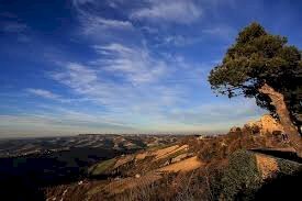 Foto 2 - Agricultural land Ripatransone - photo 2