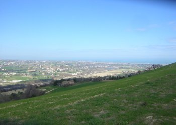 Foto 1 - Terreno agricolo Ripatransone - foto 1