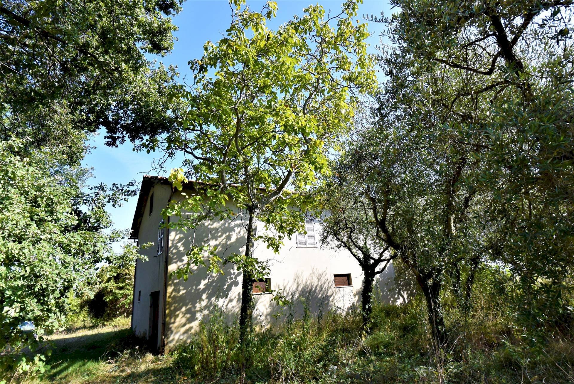 Foto 2 - Rustico Magliano di Tenna - foto 2