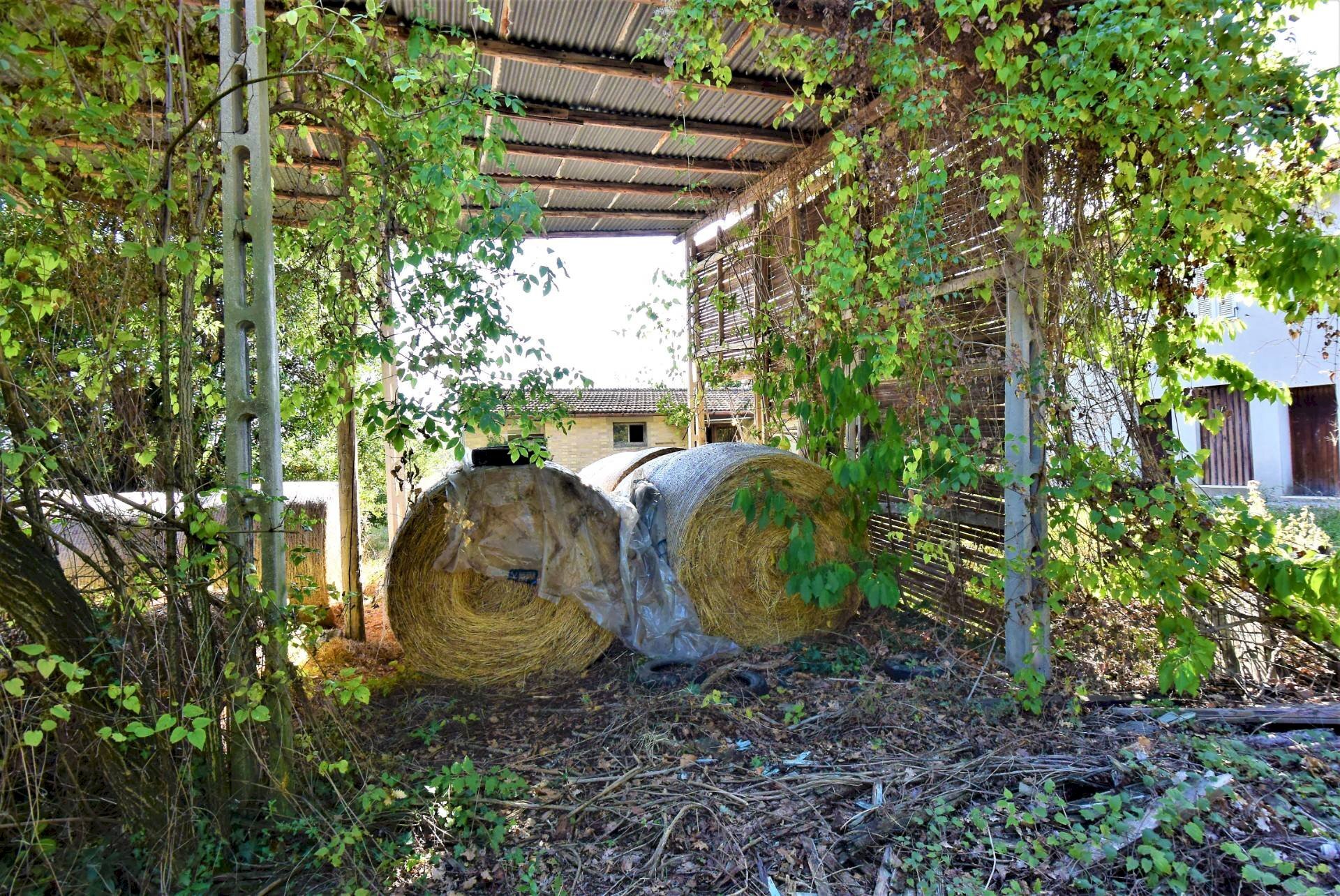 Foto 3 - Rustico Magliano di Tenna - foto 3