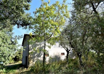 Foto 2 - Rustico Magliano di Tenna - foto 2