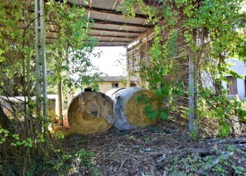 Foto 3 - Rustico Magliano di Tenna - foto 3