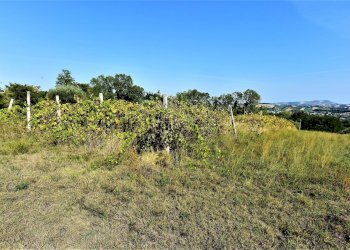 Foto 4 - Rustico Magliano di Tenna - foto 4