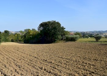 Foto 5 - Rustico Magliano di Tenna - foto 5