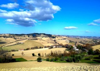 Foto 3 - Building land Montegranaro - photo 3