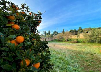 Foto 11 - Villa Contrada Marina Palmense
 
snc, Fermo - foto 11