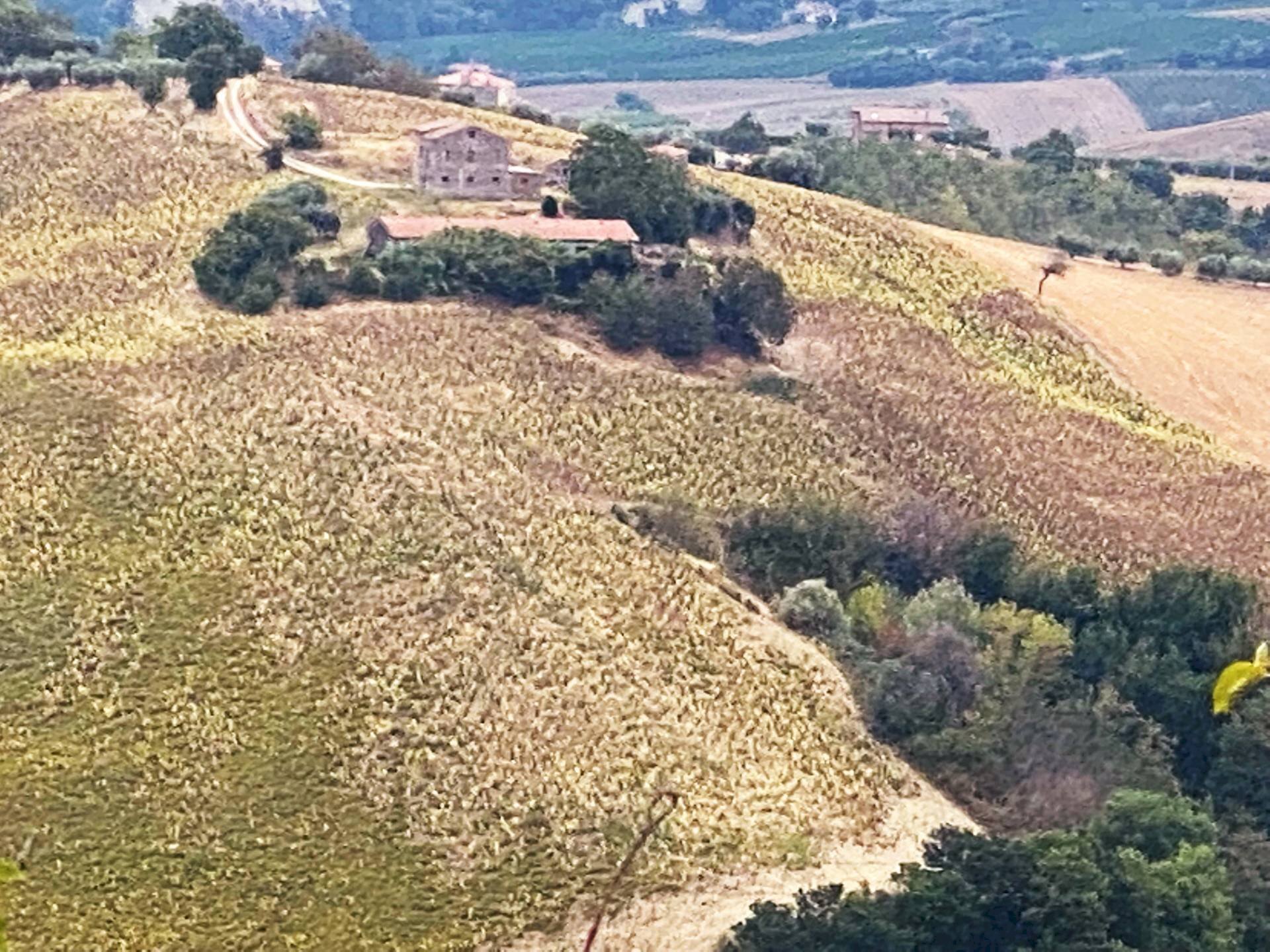 Foto 3 - Terreno agricolo Carassai - foto 3