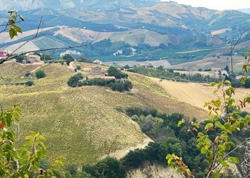 Foto 4 - Terreno agricolo Carassai - foto 4