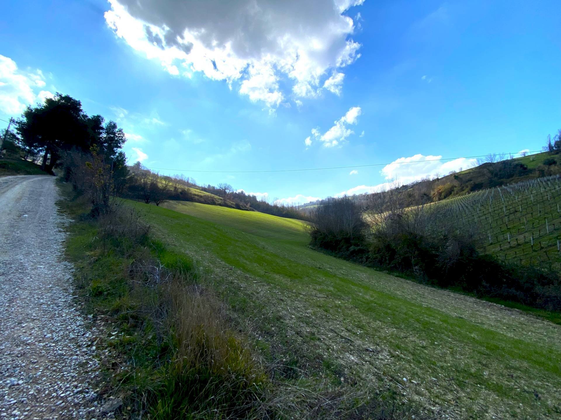 Foto 3 - Casa indipendente Montefiore dell'Aso - foto 3