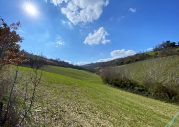 Foto 2 - Casa indipendente Montefiore dell'Aso - foto 2