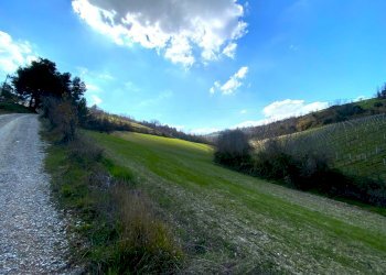 Foto 3 - Casa indipendente Montefiore dell'Aso - foto 3