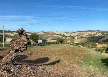 Foto 4 - Rustico Monte Rinaldo - foto 4