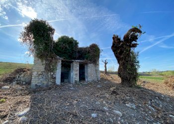 Foto 7 - Rustico Monte Rinaldo - foto 7