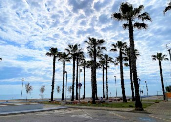 Foto 17 - Trilocale Fermo - foto 17