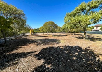 Foto 5 - Attività Commerciale Pedaso - foto 5