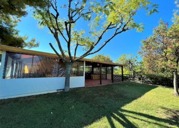 Foto 8 - Attività Commerciale Pedaso - foto 8