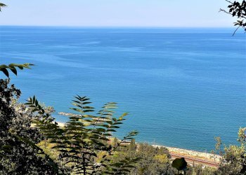 Foto 11 - Attività Commerciale Pedaso - foto 11