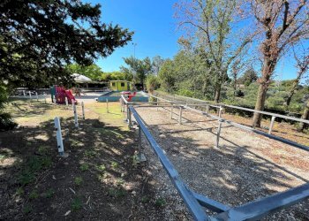 Foto 16 - Attività Commerciale Pedaso - foto 16