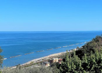 Foto 18 - Attività Commerciale Pedaso - foto 18