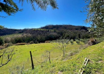 Foto 6 - Casa indipendente Via Trieste
 
snc, Montefiore dell'Aso - foto 6