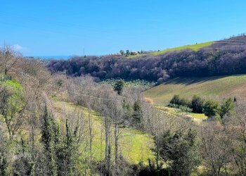 Foto 8 - Casa indipendente Via Trieste
 
snc, Montefiore dell'Aso - foto 8