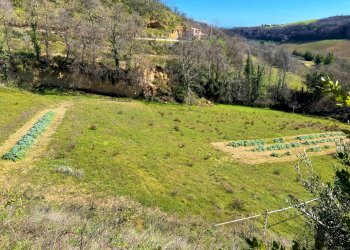 Foto 10 - Casa indipendente Via Trieste
 
snc, Montefiore dell'Aso - foto 10