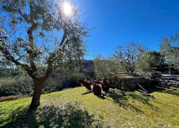 Foto 11 - Casa indipendente Via Trieste
 
snc, Montefiore dell'Aso - foto 11