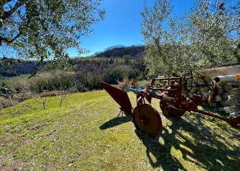 Foto 12 - Casa indipendente Via Trieste
 
snc, Montefiore dell'Aso - foto 12