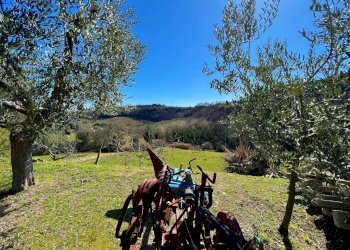 Foto 13 - Casa indipendente Via Trieste
 
snc, Montefiore dell'Aso - foto 13