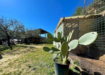 Foto 14 - Casa indipendente Via Trieste
 
snc, Montefiore dell'Aso - foto 14