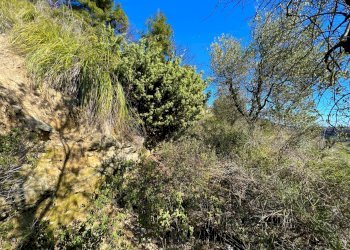 Foto 18 - Casa indipendente Via Trieste
 
snc, Montefiore dell'Aso - foto 18