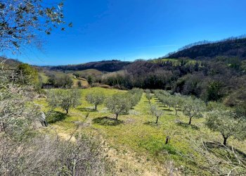 Foto 19 - Casa indipendente Via Trieste
 
snc, Montefiore dell'Aso - foto 19