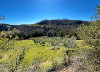 Foto 20 - Casa indipendente Via Trieste
 
snc, Montefiore dell'Aso - foto 20