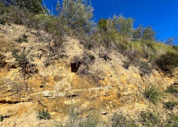 Foto 21 - Casa indipendente Via Trieste
 
snc, Montefiore dell'Aso - foto 21