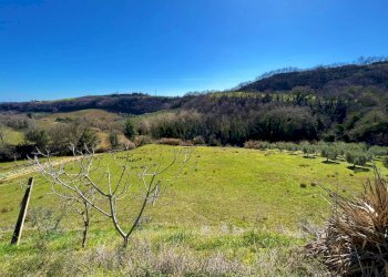 Foto 23 - Casa indipendente Via Trieste
 
snc, Montefiore dell'Aso - foto 23