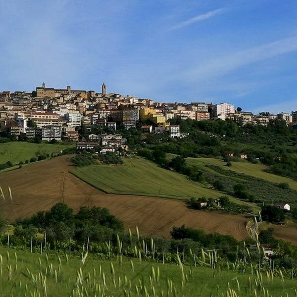 Foto 2 - Terreno agricolo via guazzetti
 
snc, Montegranaro - foto 2