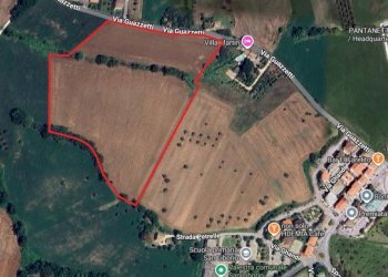 Foto 1 - Terreno agricolo via guazzetti
 
snc, Montegranaro - foto 1