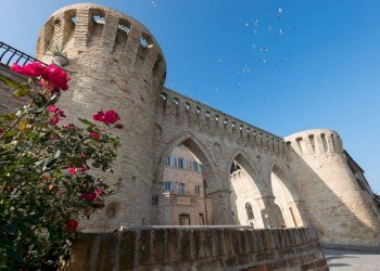 Foto 24 - Casa indipendente Petritoli - foto 24