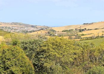 Foto 14 - Casa indipendente via Contrada Camara di Torre
 
14, Fermo - foto 14