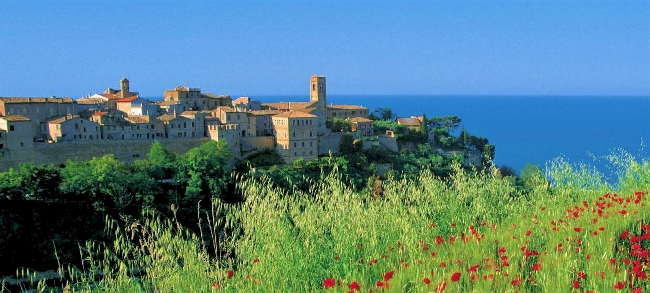 Foto 2 - Agricultural land Fermo - photo 2