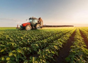 Foto 1 - Terreno agricolo Fermo - foto 1