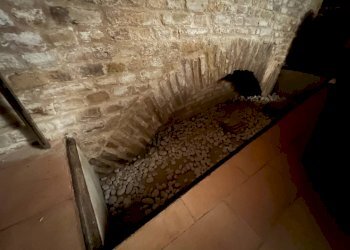 Foto 23 - Appartamento Fermo - foto 23