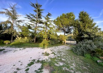 Foto 24 - Rustico Fermo - foto 24