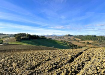 Foto 12 - Rustico Fermo - foto 12